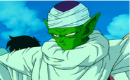 Piccolo destroys all the cameras in the Martial Arts Stadium