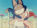 Puar and Oolong