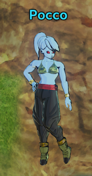 XV2 - Pocco