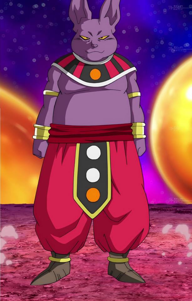 Universe Survival! The Tournament of Power Begins!!, Dragon Ball Wiki