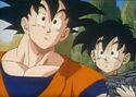 Gohan and Goku