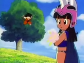 Goku está contente por ter encontrado Chichi