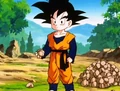 Goten with rocks