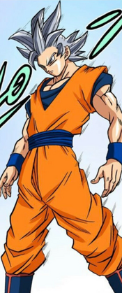 Perfected Ultra Instinct, Dragon Ball Wiki