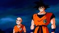 Krillin and Goku