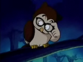 An owl with glasses