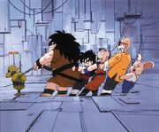 The gang