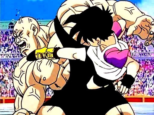 Videl vs. Spopovich.