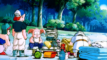 Gohan camping.png