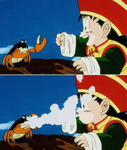 Granchio 1