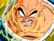 Nappa9.jpg (11 kB)