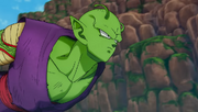 DBS SH Piccolo 2