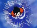 Dbz248(for dbzf.ten.lt) 20120503-18205492