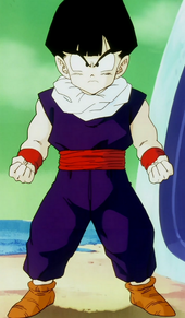 Gohan, Dragon Ball Wiki