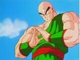 Tien Shinhan