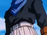 Trunks