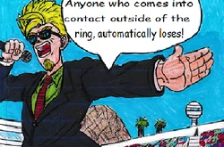 Akira in Dragon Ball SF