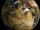Cyren (planet)