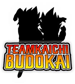 Teamkaichi Budokai Logo.png