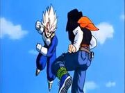 VegetaVsN17