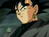 Goku Black (Next Future)