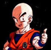 Krillin arrival