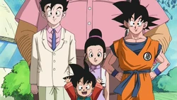 Son Goku and family