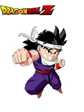 Future Gohan during the Vegeta Saga