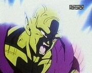 Piccolo Power's Up