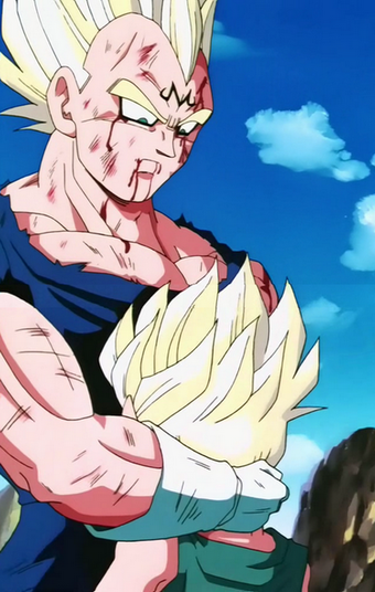 Why did Goku say that he and Majin Vegeta were evenly matched when