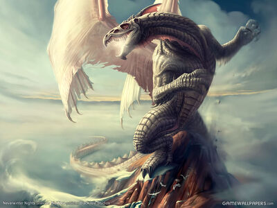 WinD dragon