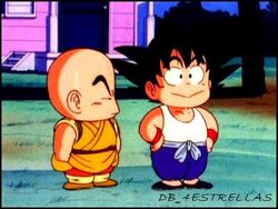 El primer entrenamiento con Roshi | Dragon Ball Fanon Wiki | Fandom El primer entrenamiento con Roshi | Dragon Ball Fanon Wiki | Fandom