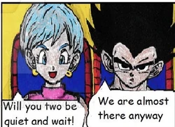 Bulms and Vegeta