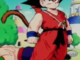 Piccolo Day