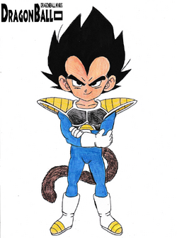 Vegeta  Kid vegeta, Anime dragon ball, Anime dragon ball super