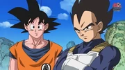 Goku & Vegeta