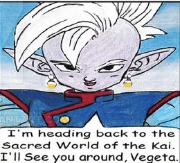 Shin (Supreme Kai)