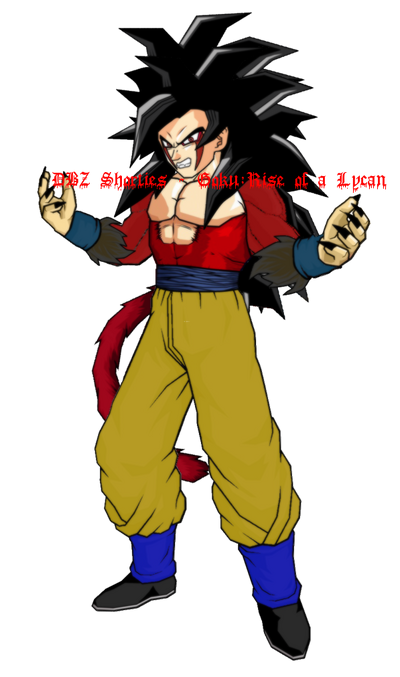 Dragonball Z Budokai Tenkaichi 4, Dragonball Fanon Wiki