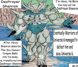 Destroyer Shenron in Dragon Ball SF