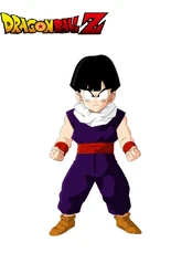 Future Gohan during the Namek Saga