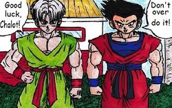 Trunks and Goten in DBSF