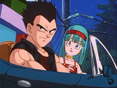 Vegeta and Bulla together