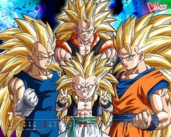Saiyan (Xz) | Dragonball Fanon Wiki | Fandom