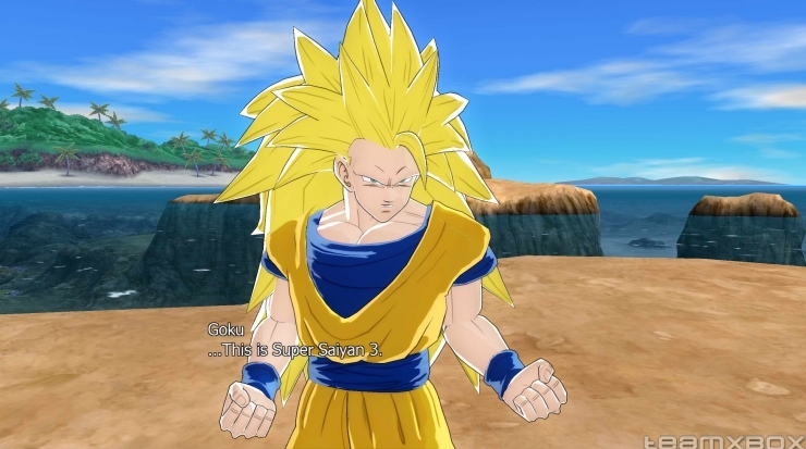 Dragon Ball Z: Tenkaichi Tag Team, Dragon Ball Wiki