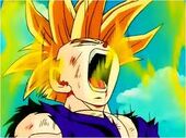 Gohan Enfado2