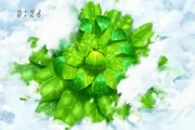 Devotee's Lifettuce