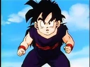 Young Gohan