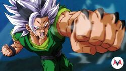 Zaiko (Zike) - Dragon Ball Fanon  Anime dragon ball super, Anime