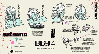 Arte conceptual de Setsuna