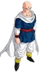 Tien Majin Buu saga